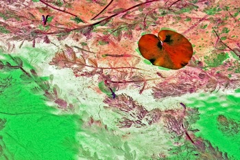 N 056B